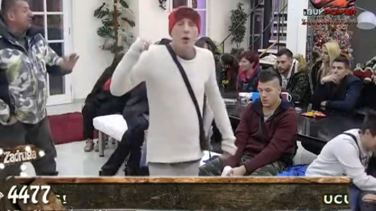 zadruga