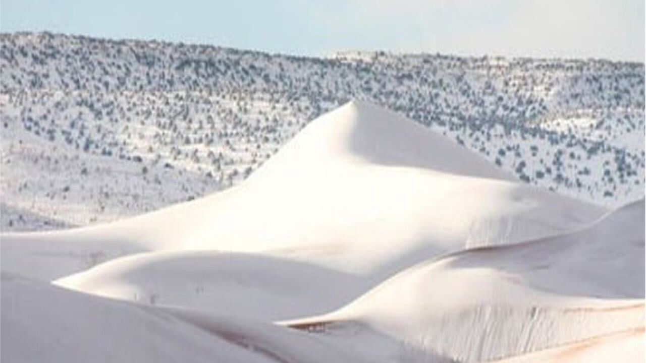 Sahara