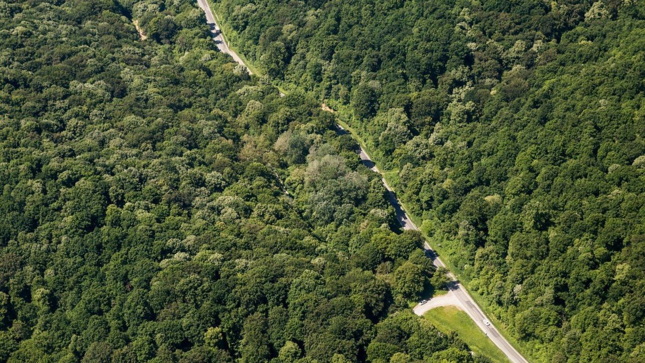 Fruška gora