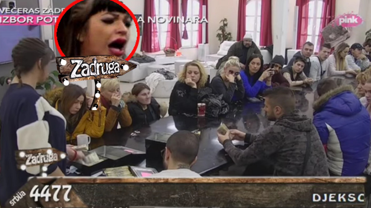 zadruga