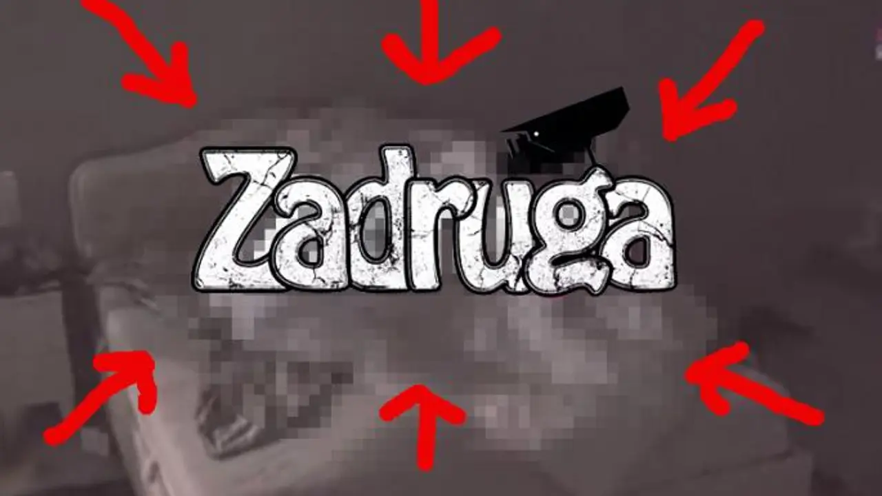 zadruga