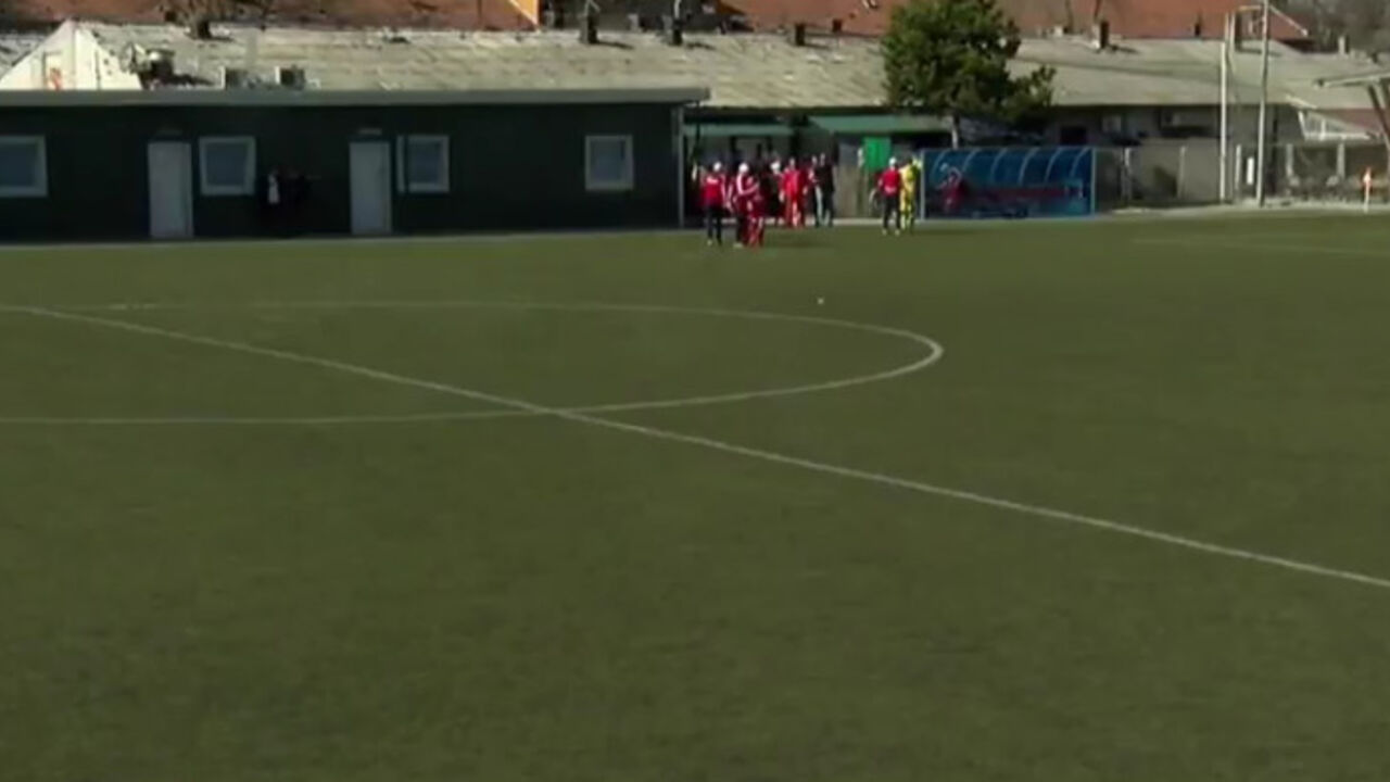 FK Brodarac - FK Crvena zvezda