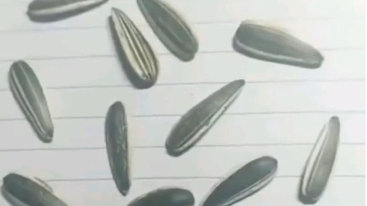 Semenke