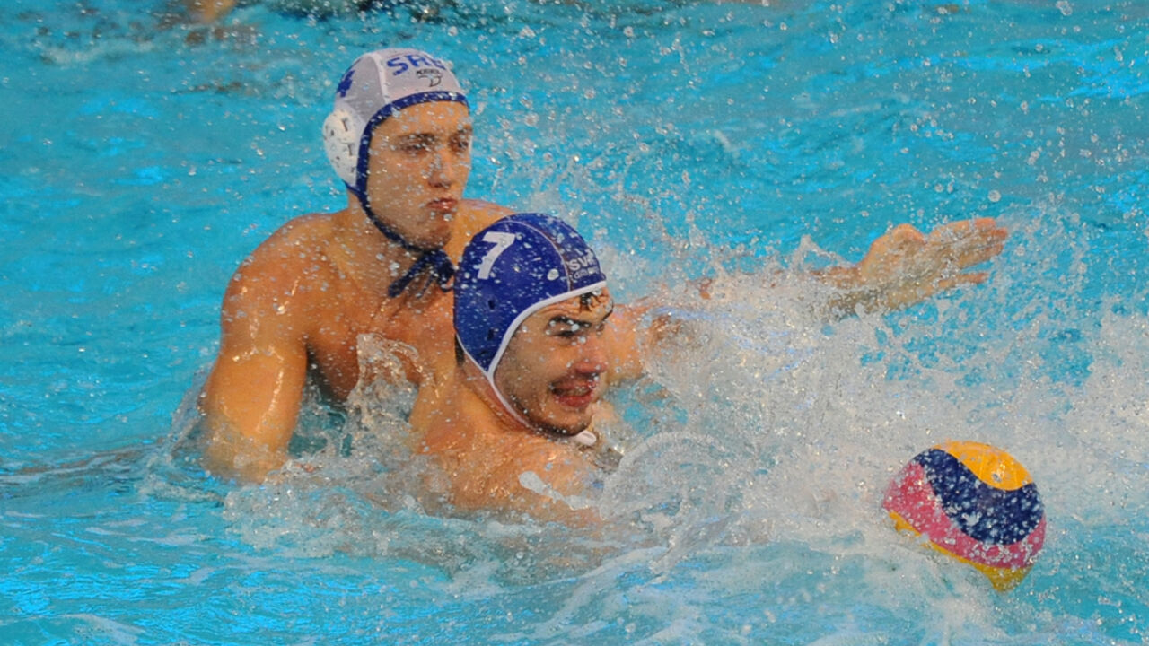 Sava Ranđelović