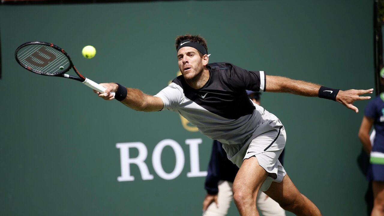 Huan Martin del Potro