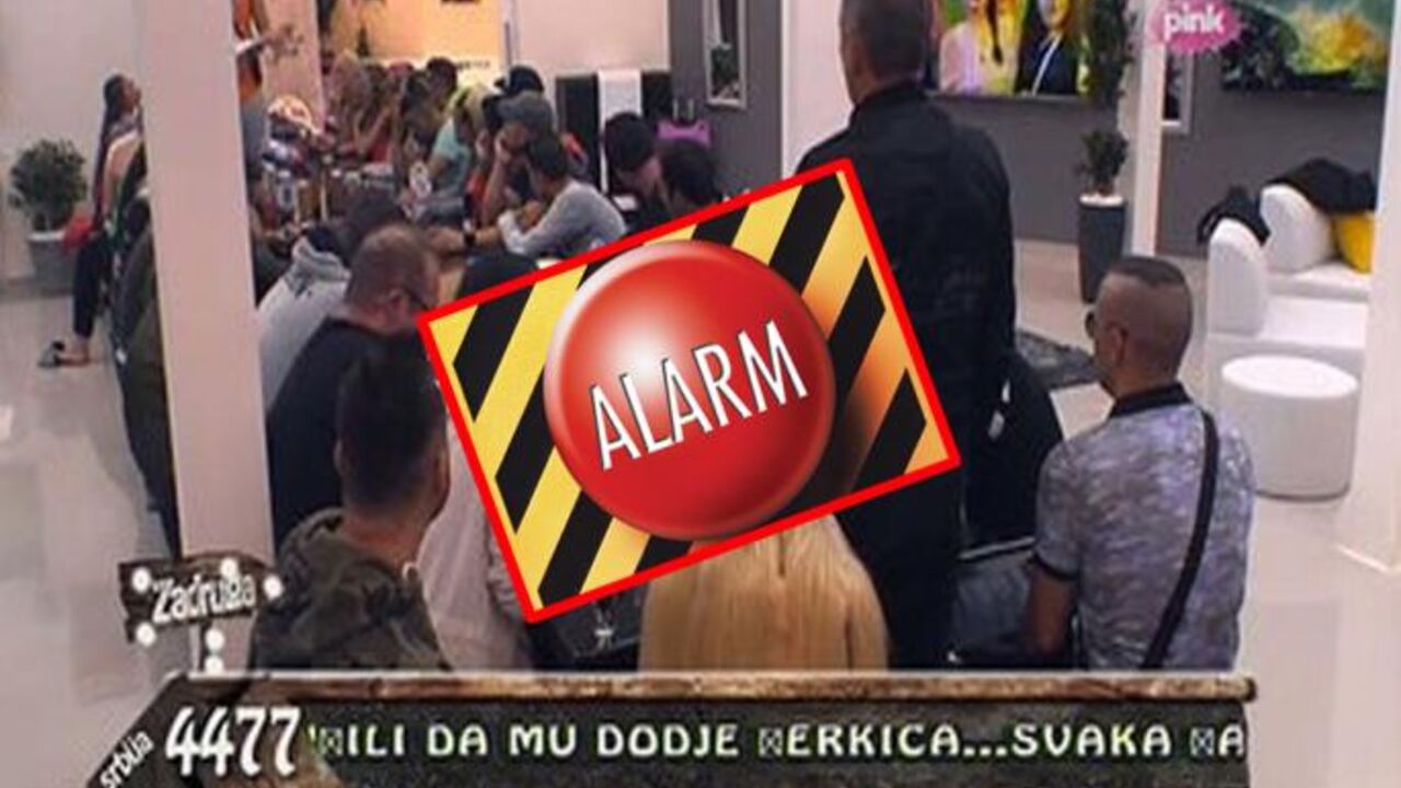 Zadruga