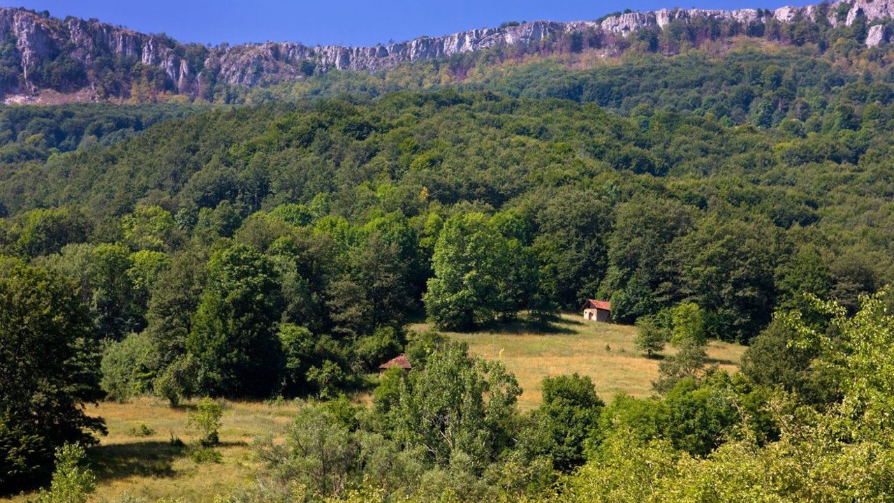 Srbija