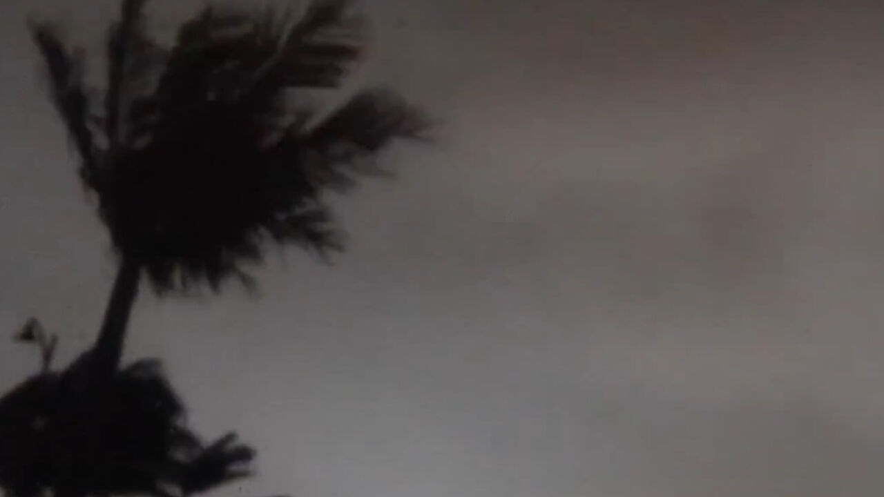 Oluja
