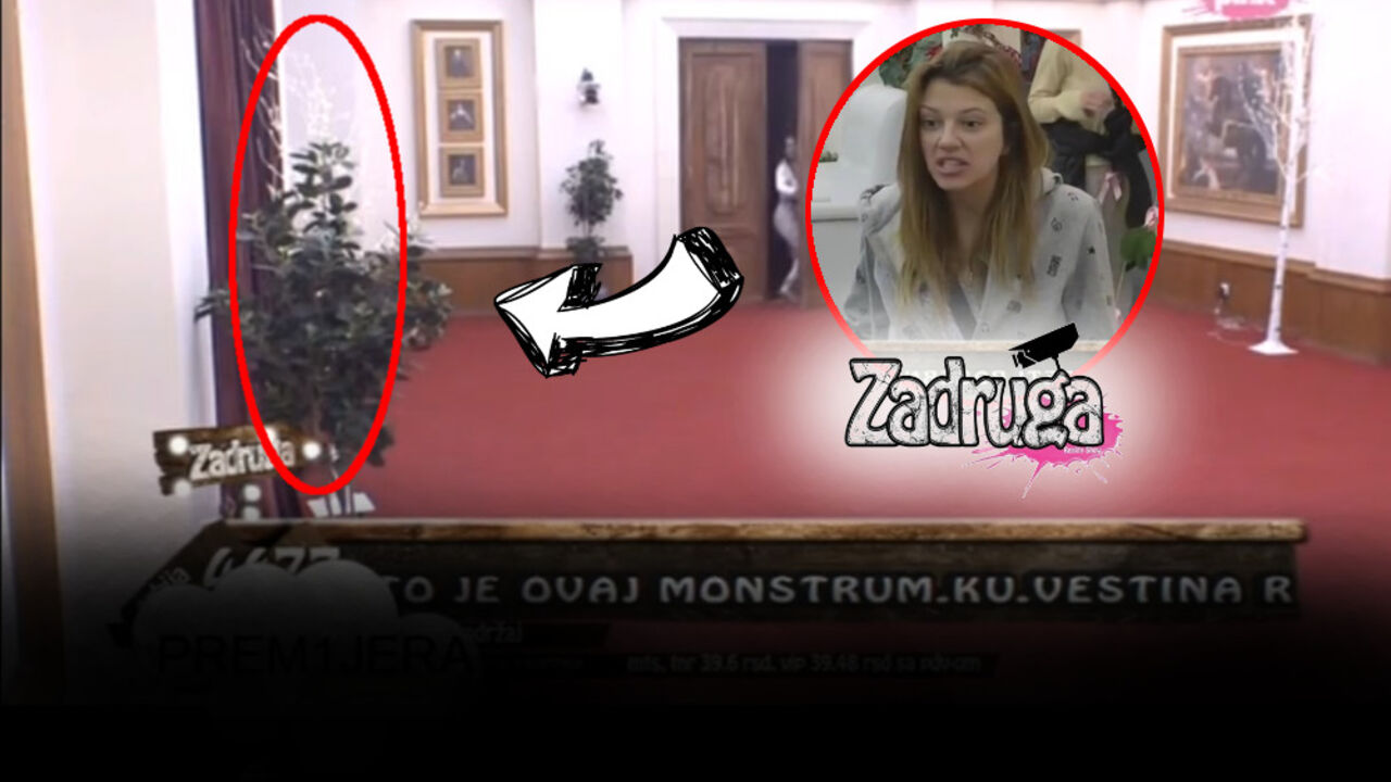 Rijaliti Zadruga