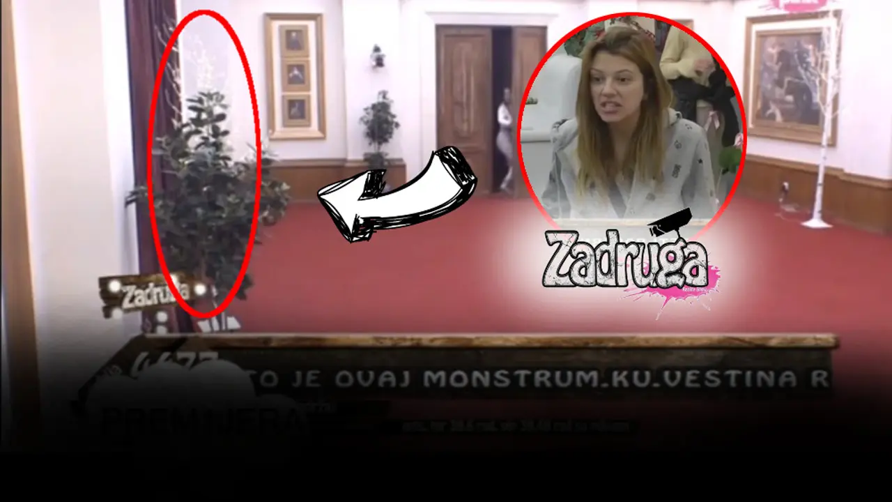 Rijaliti Zadruga