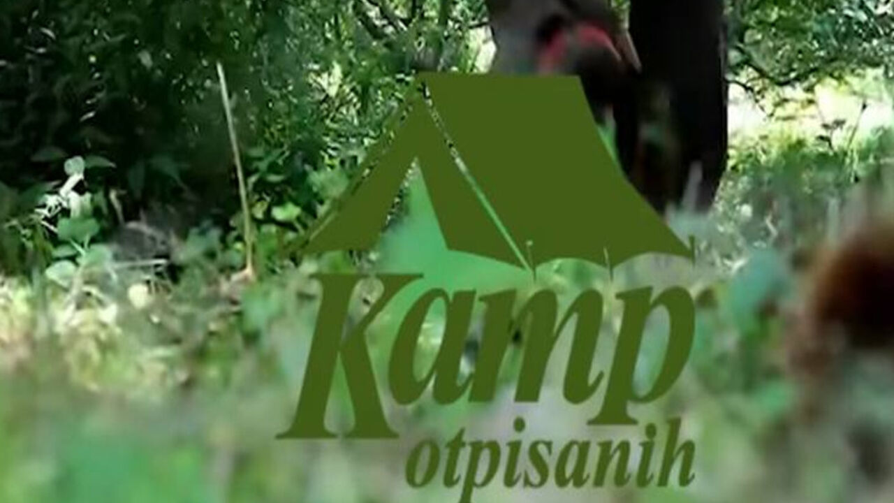 Parovi, Kamp