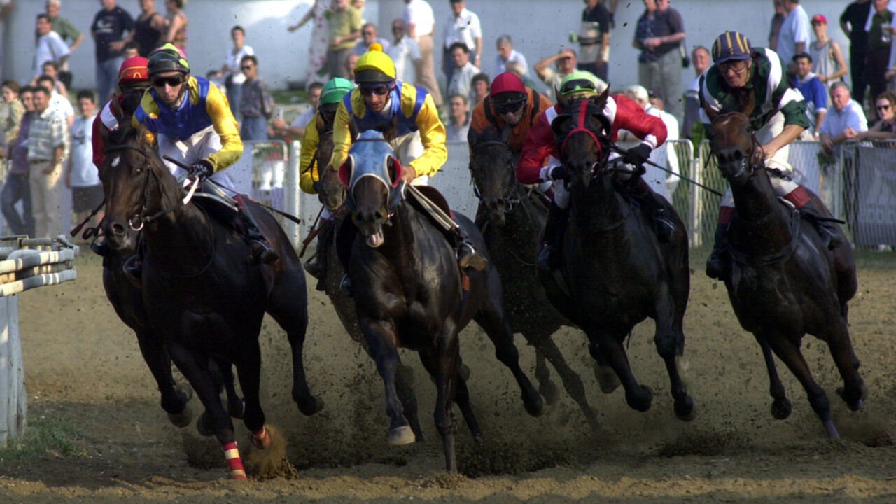 Konjički sport