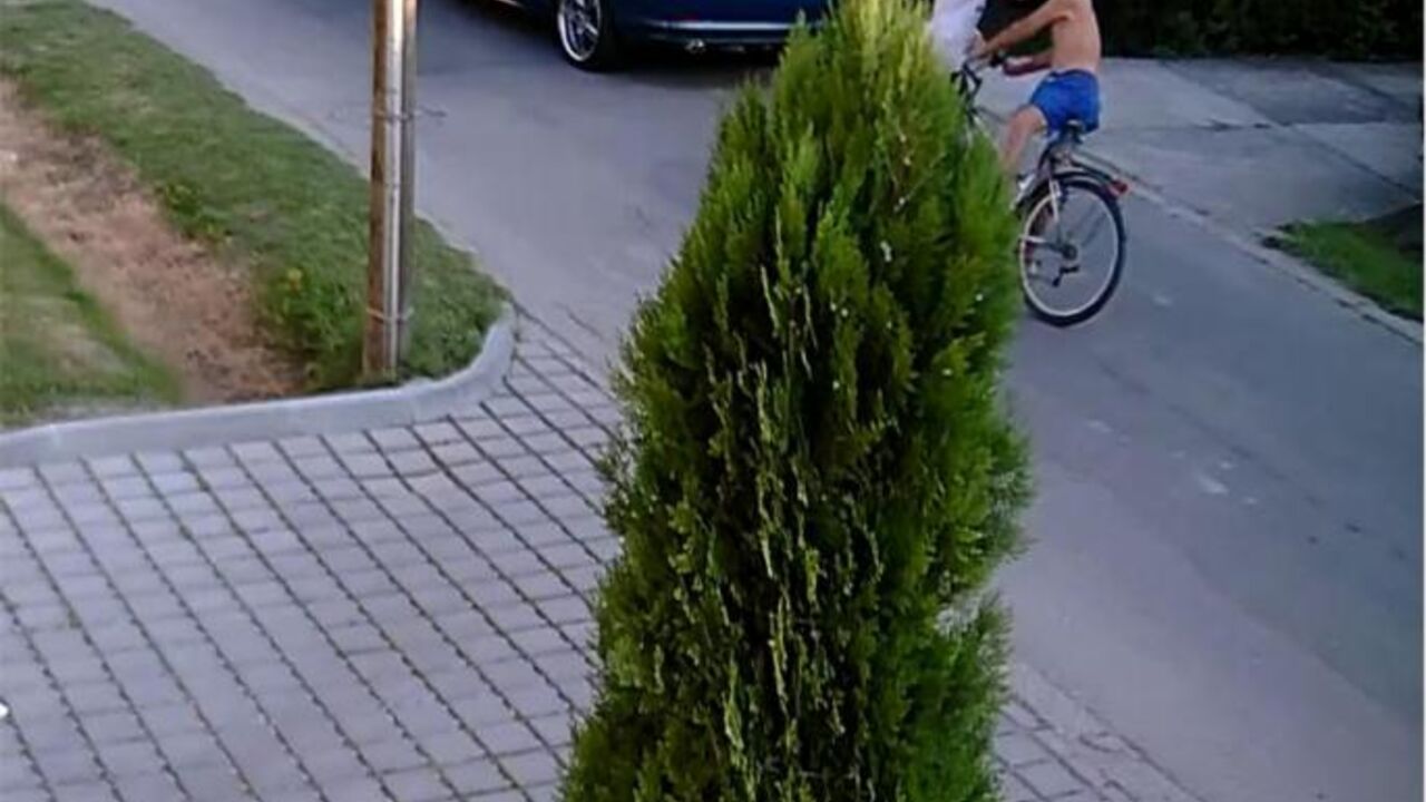 Stara Pazova
