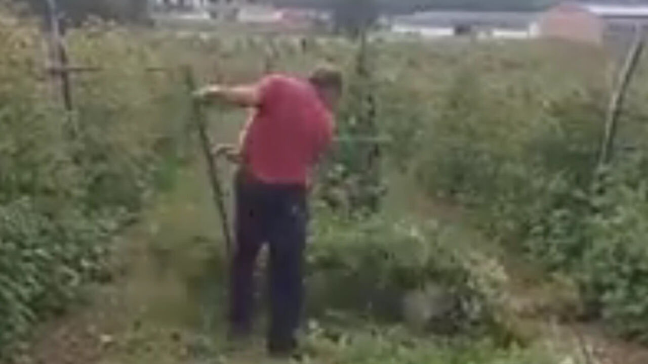 Malinjak