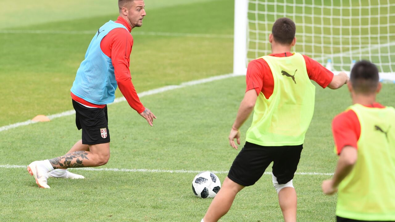 Sergej Milinković-Savić