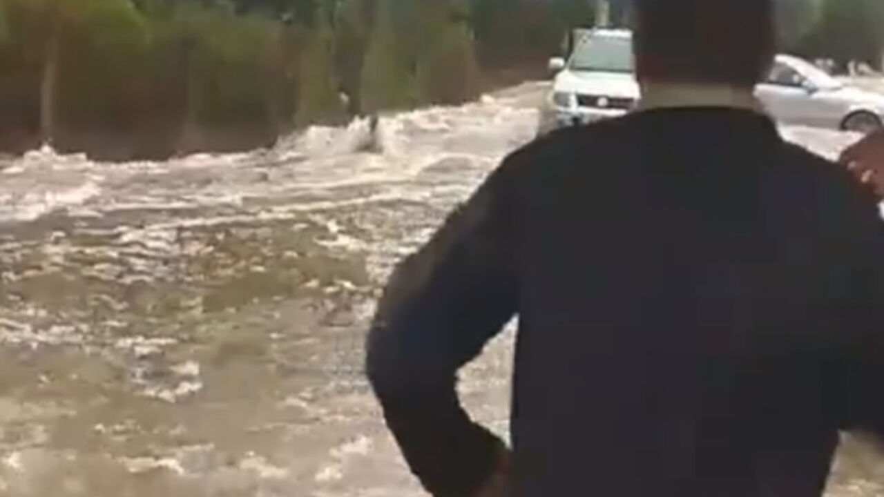 Turisti