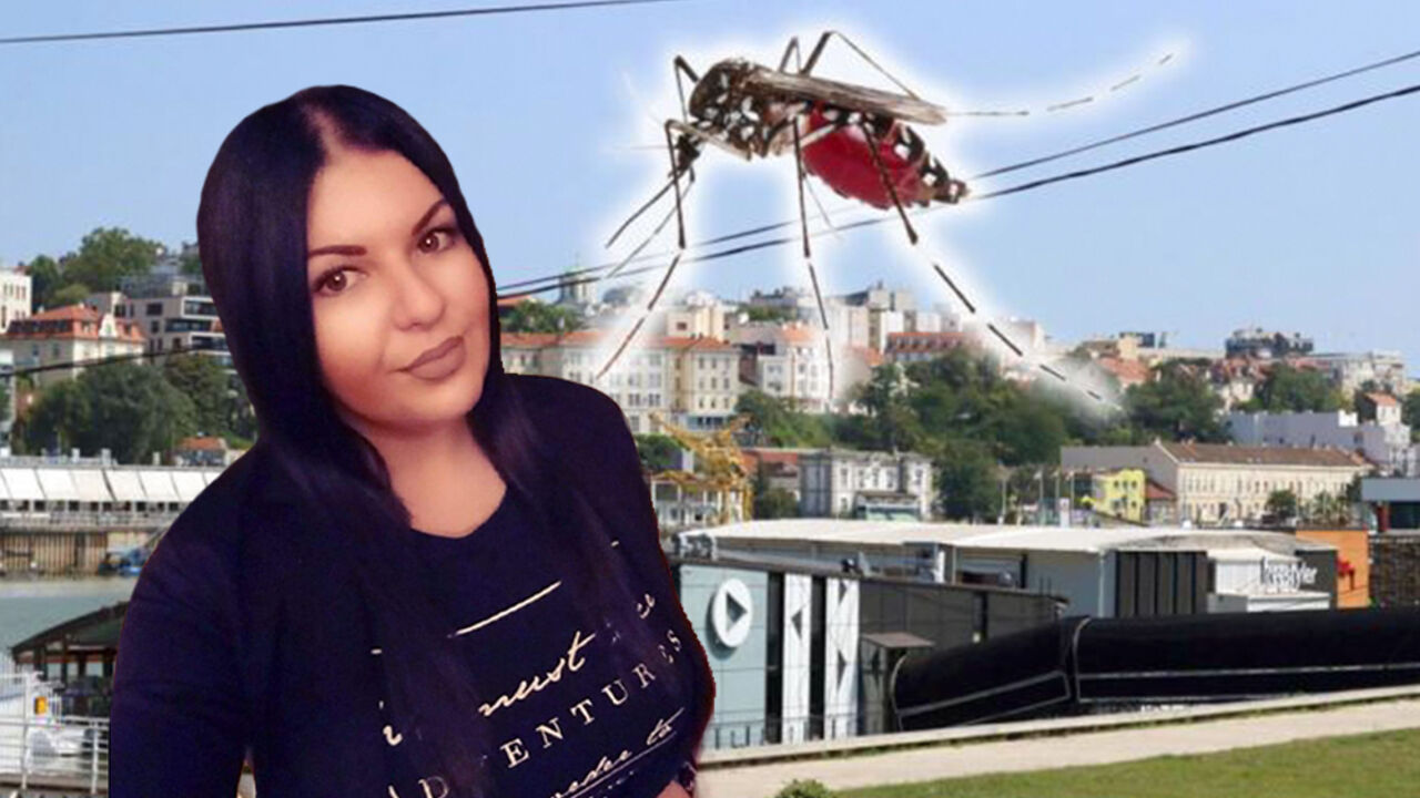 Nataša i komarci