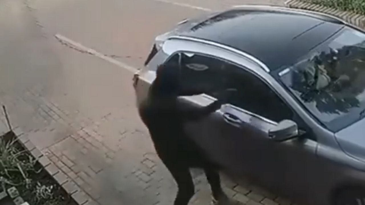 Lopovi