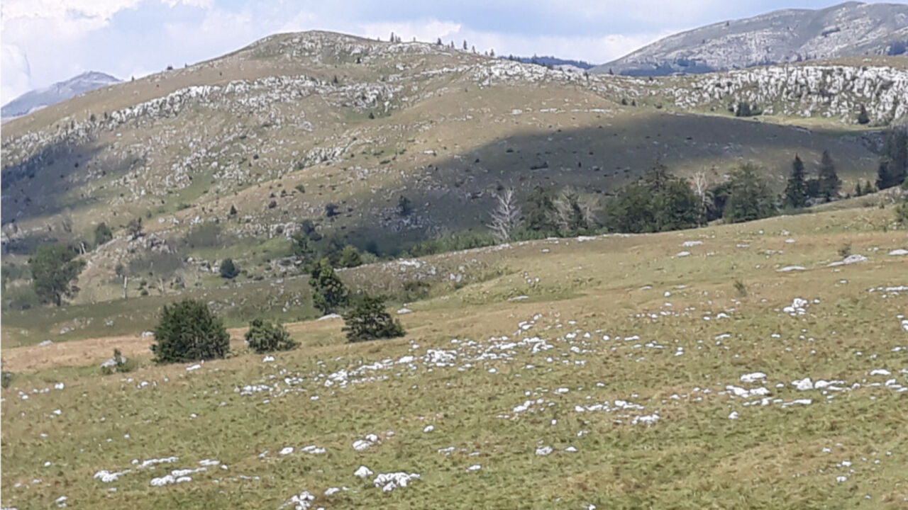 planina