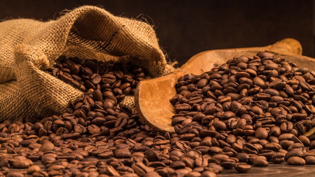 kafa