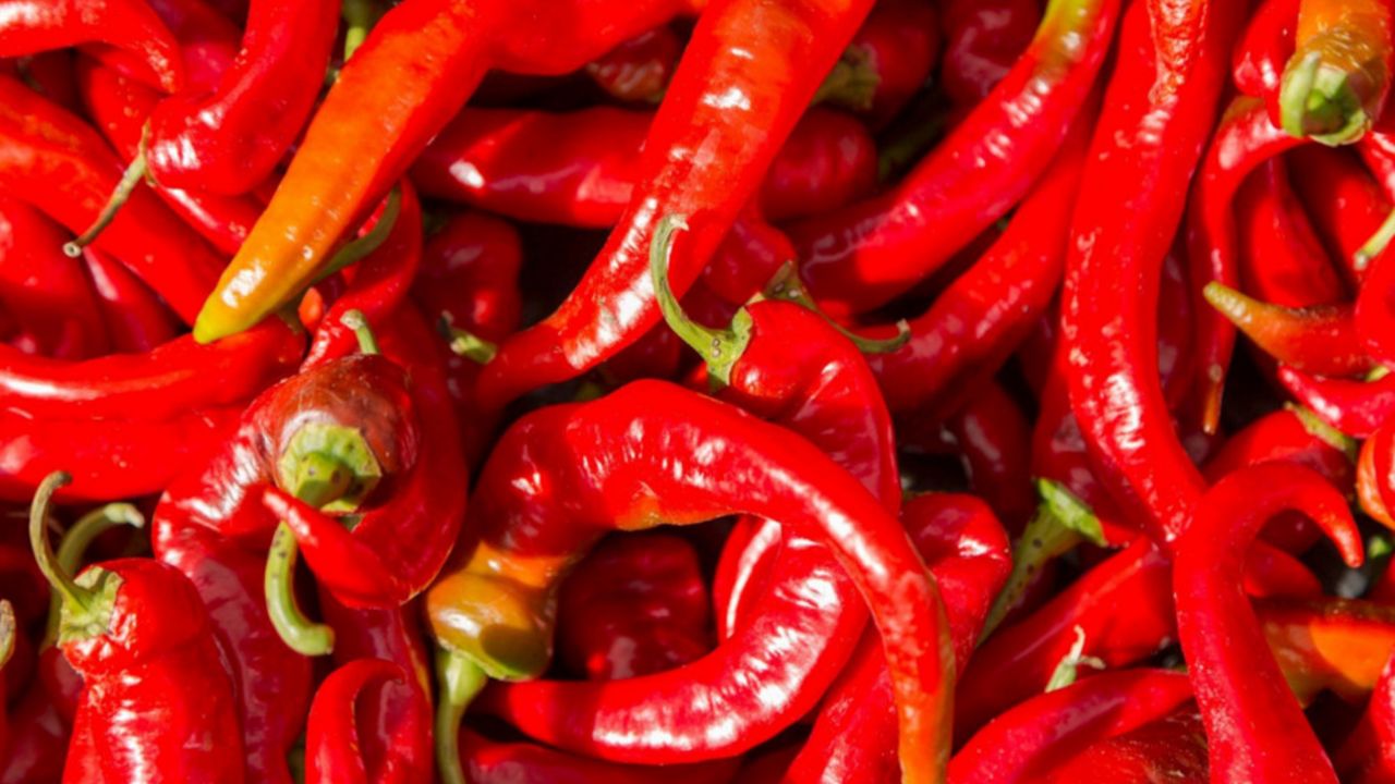 Paprika