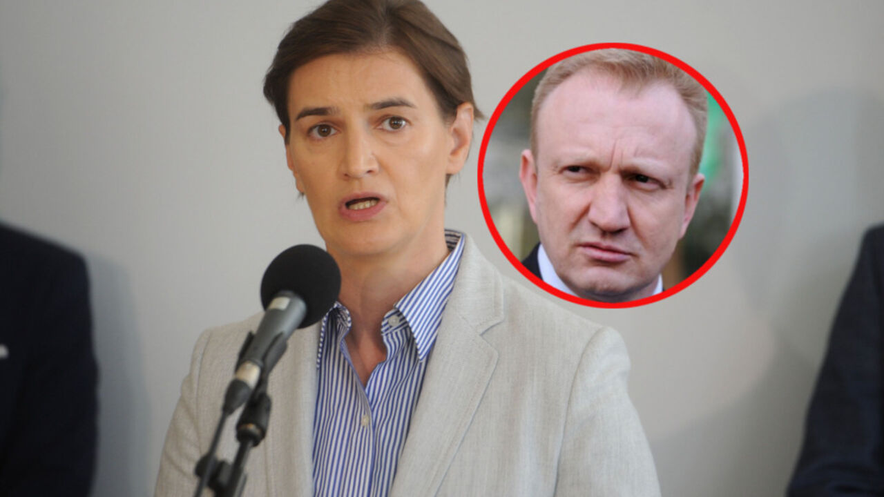 Ana Brnabić Đilas