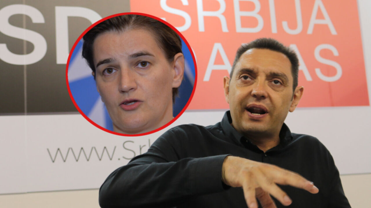 Vulin Brnabić