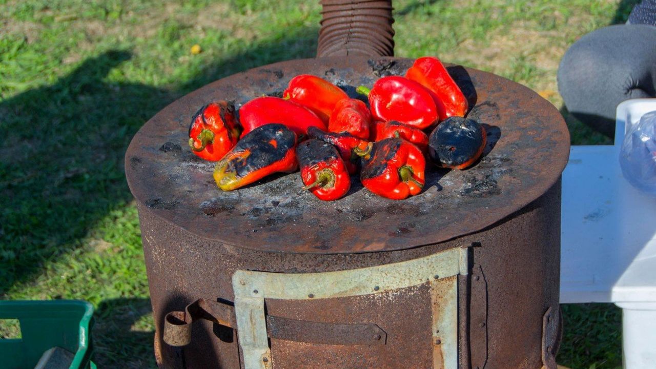 Paprika
