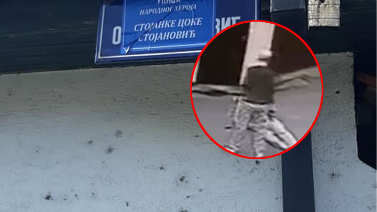 Stojanka Coka Stojanović