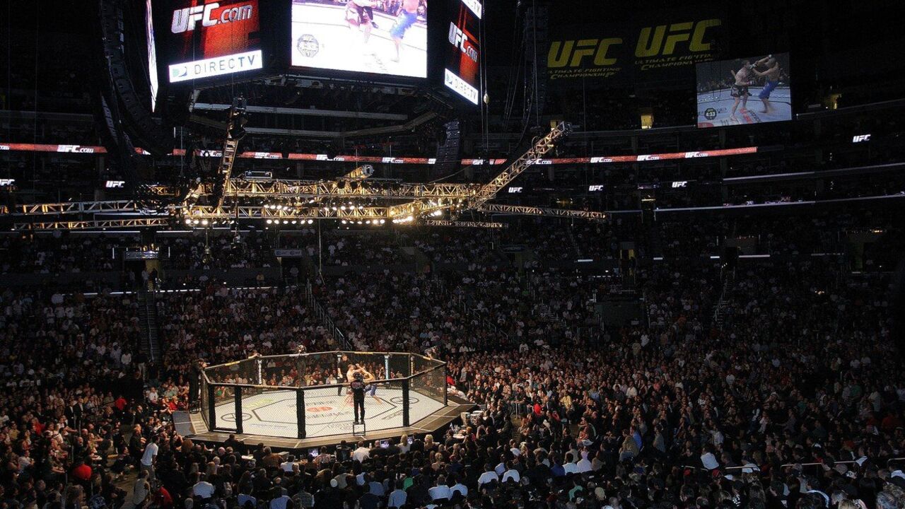 UFC
