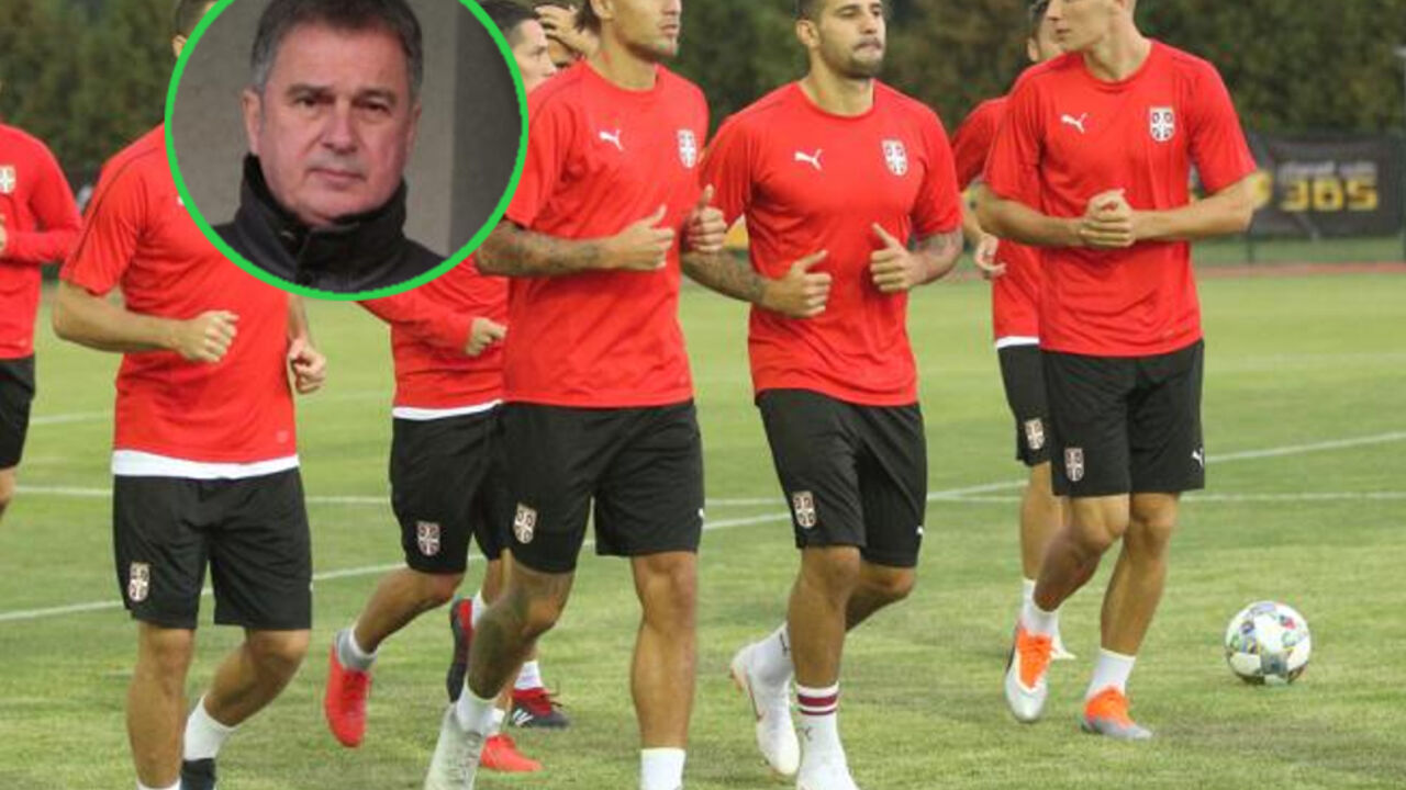 Ljubiša Tumbaković, Fudbalska reprezentacija Srbije
