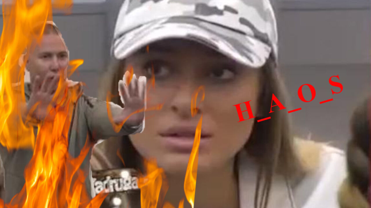 zadruga