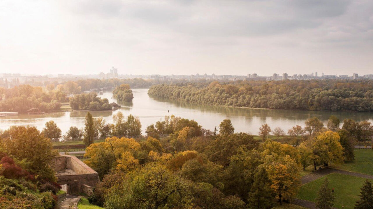 Beograd