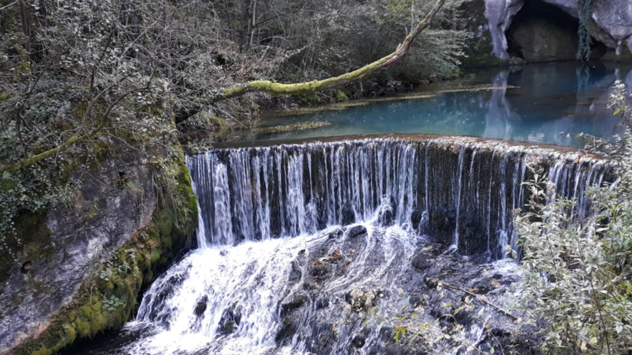 Žagubica