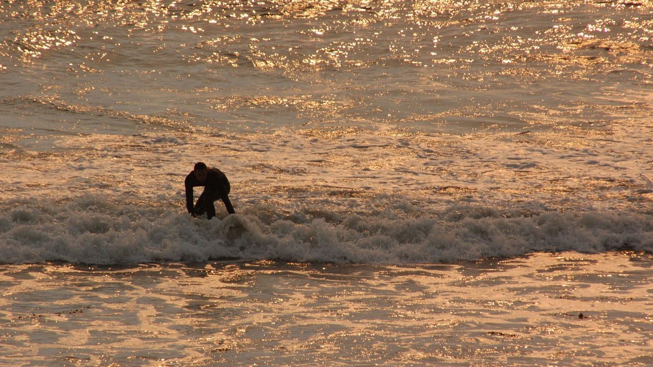 Surfer
