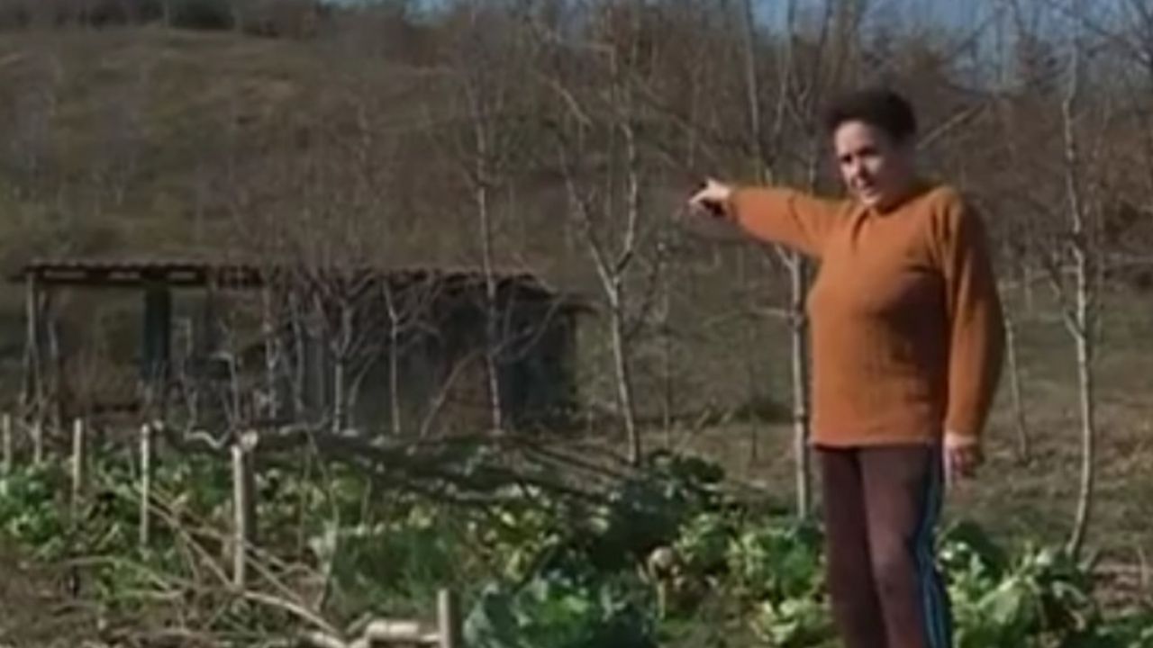 BiH