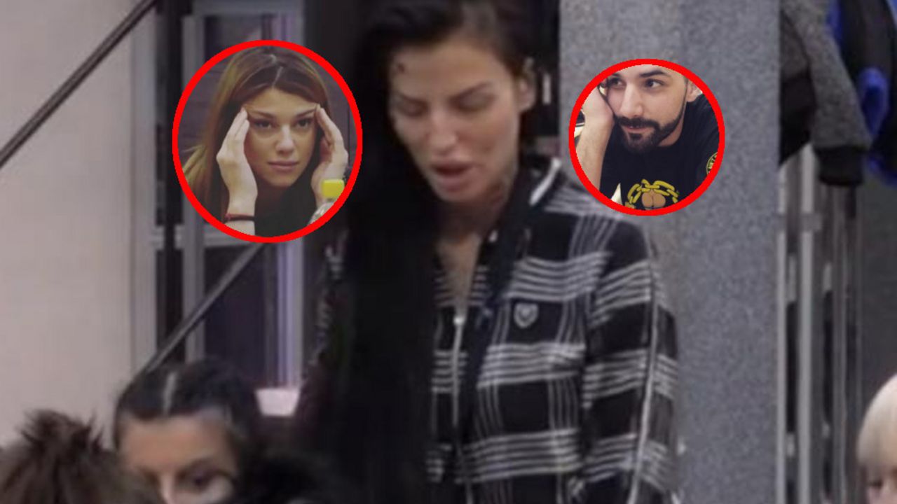 Jelena Krunić, Kija Kockar, Struka