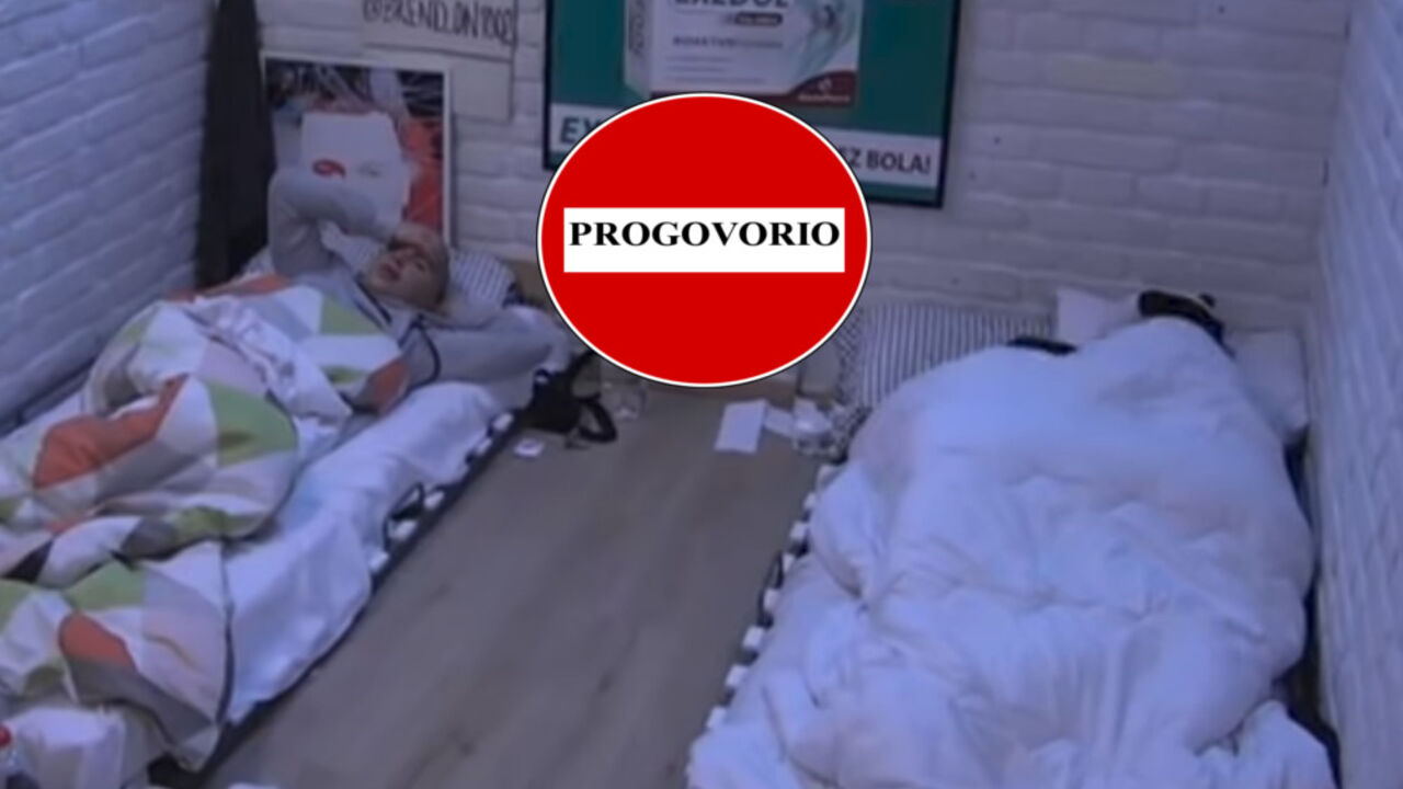 Brendon, David i Aleksandra