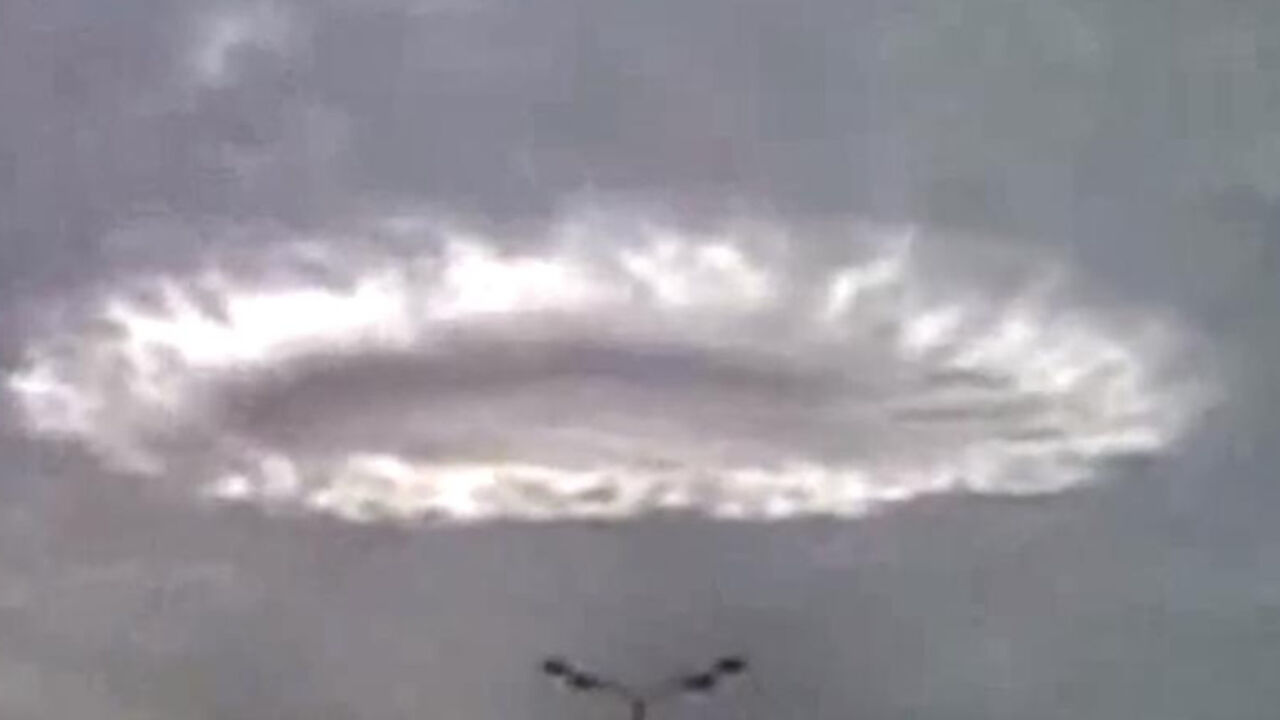NLO