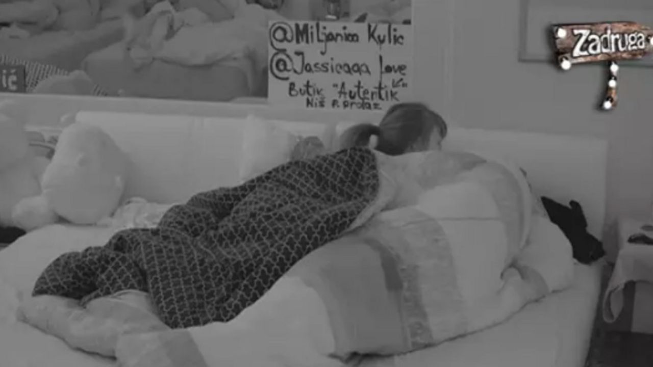 Miljana Kulić, Lazar Čolić Zola