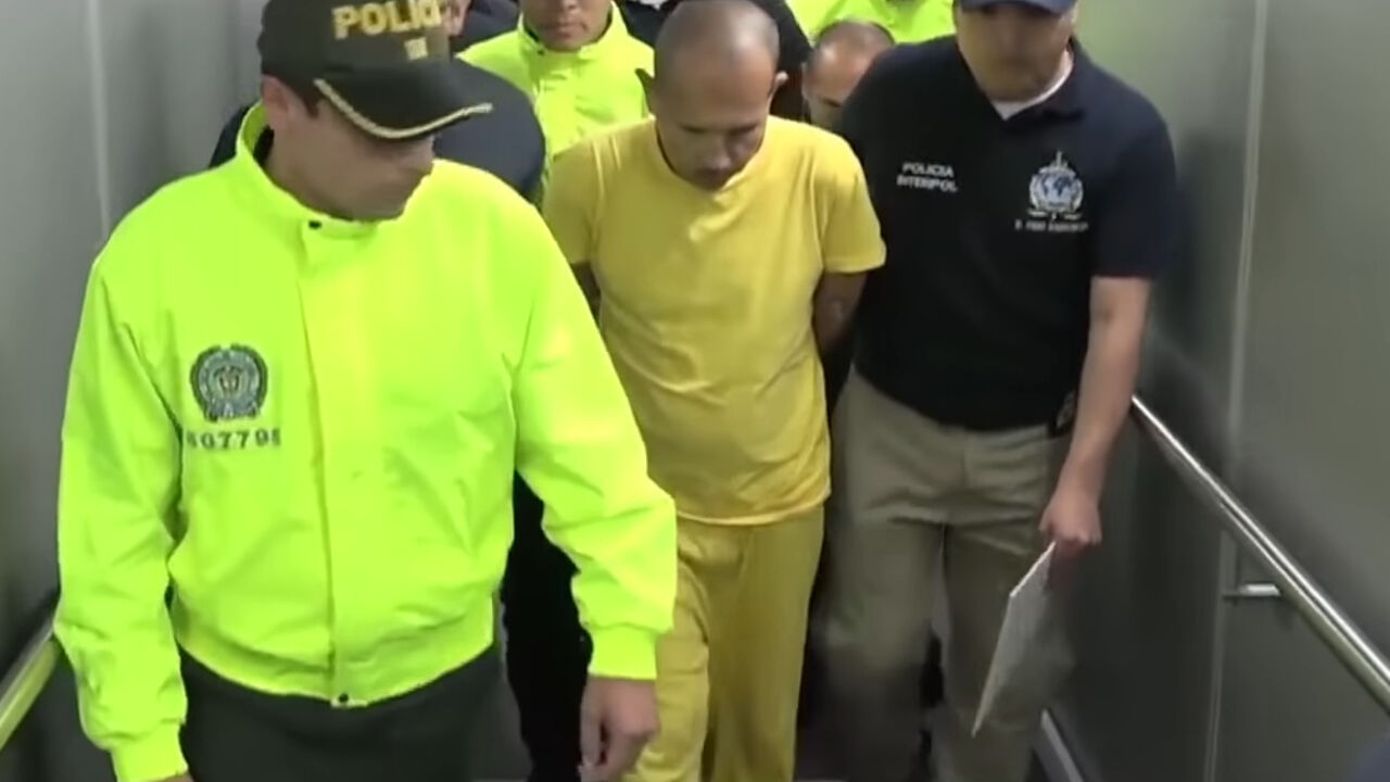 Pedofil