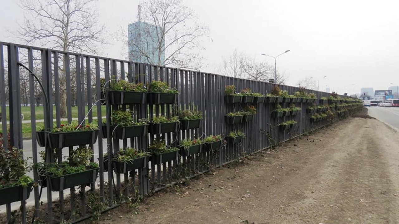 zelenilo Beograd