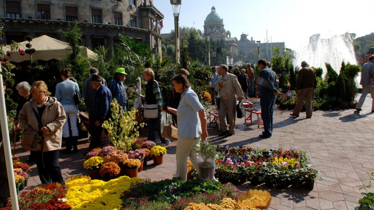 Beograd