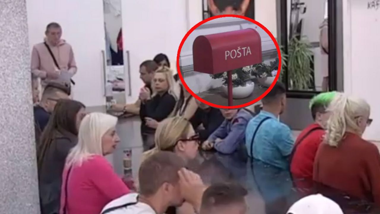 Zadruga
