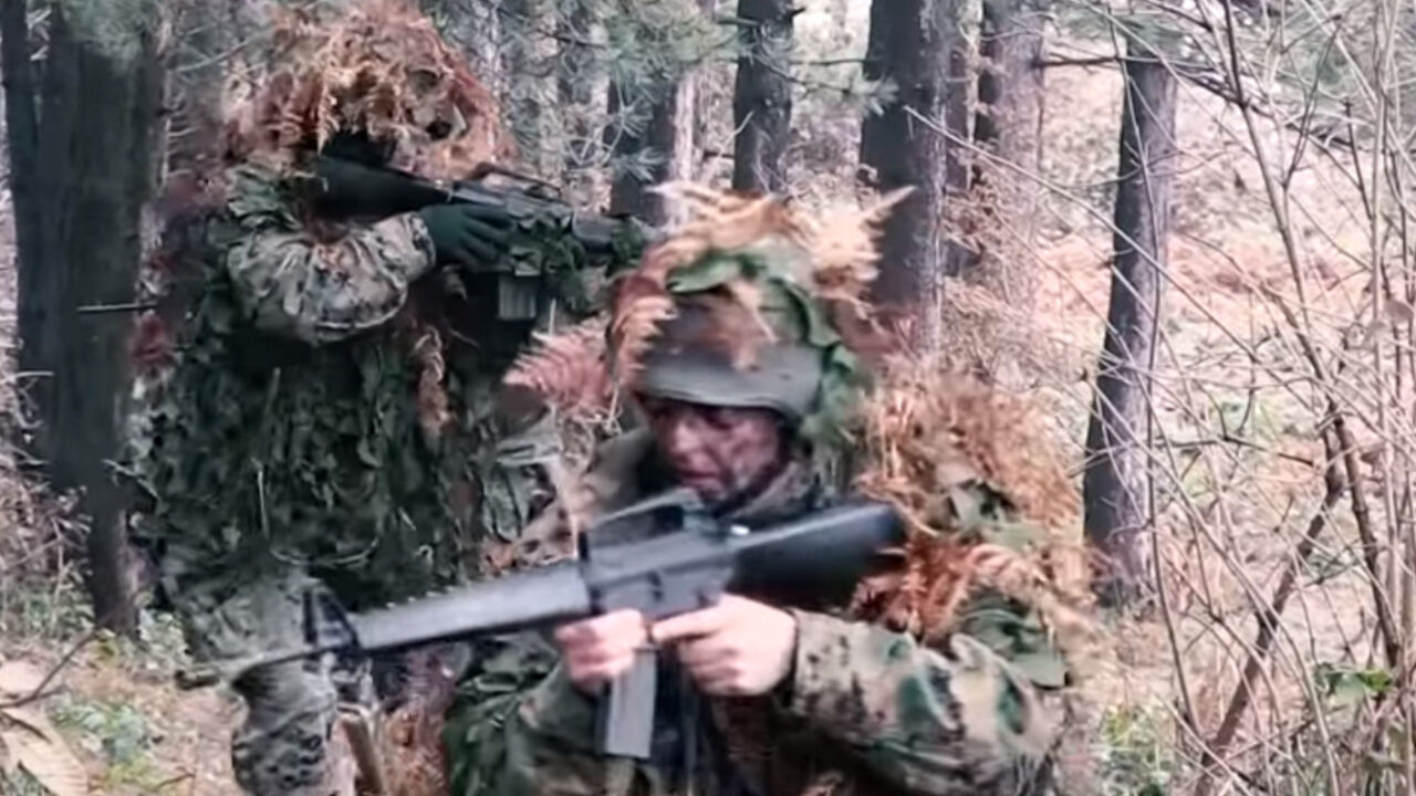 Vojska BiH