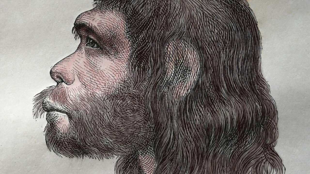 Neandertalac