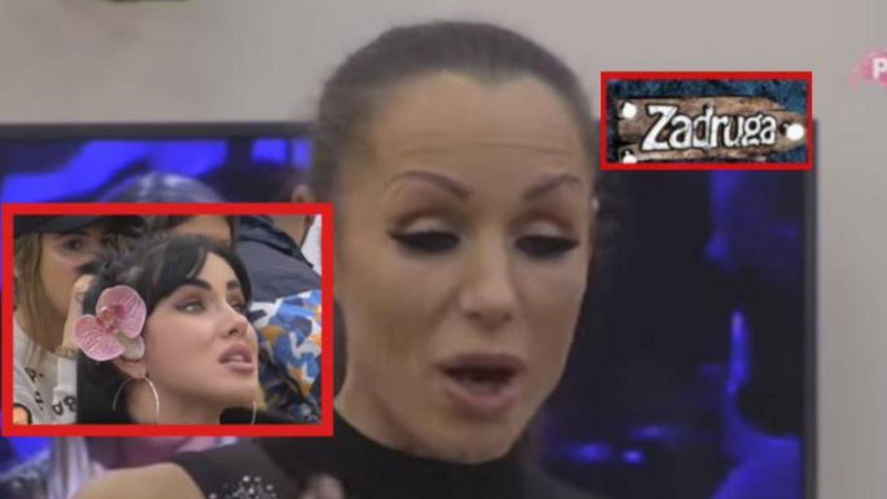 zadruga