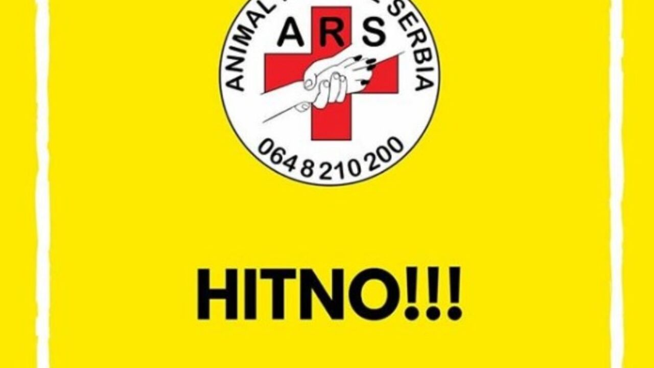 Animal Rescue Serbia