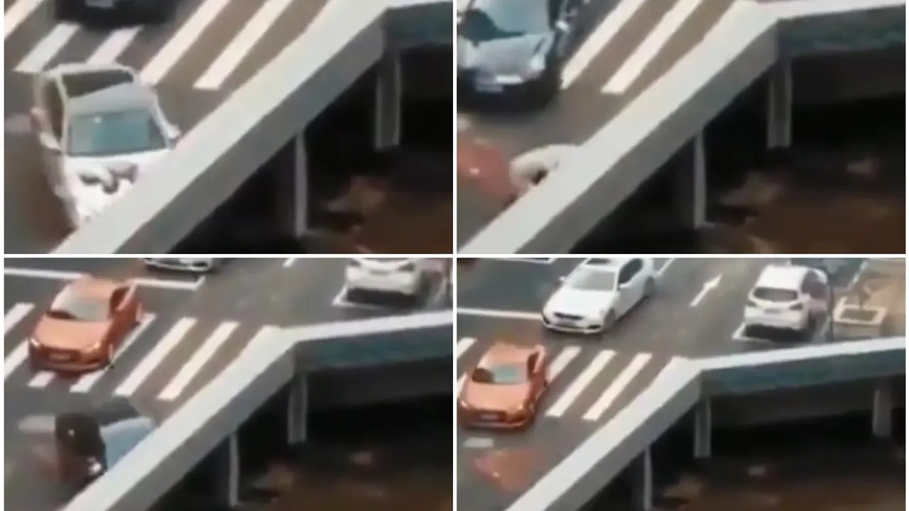 automobili
