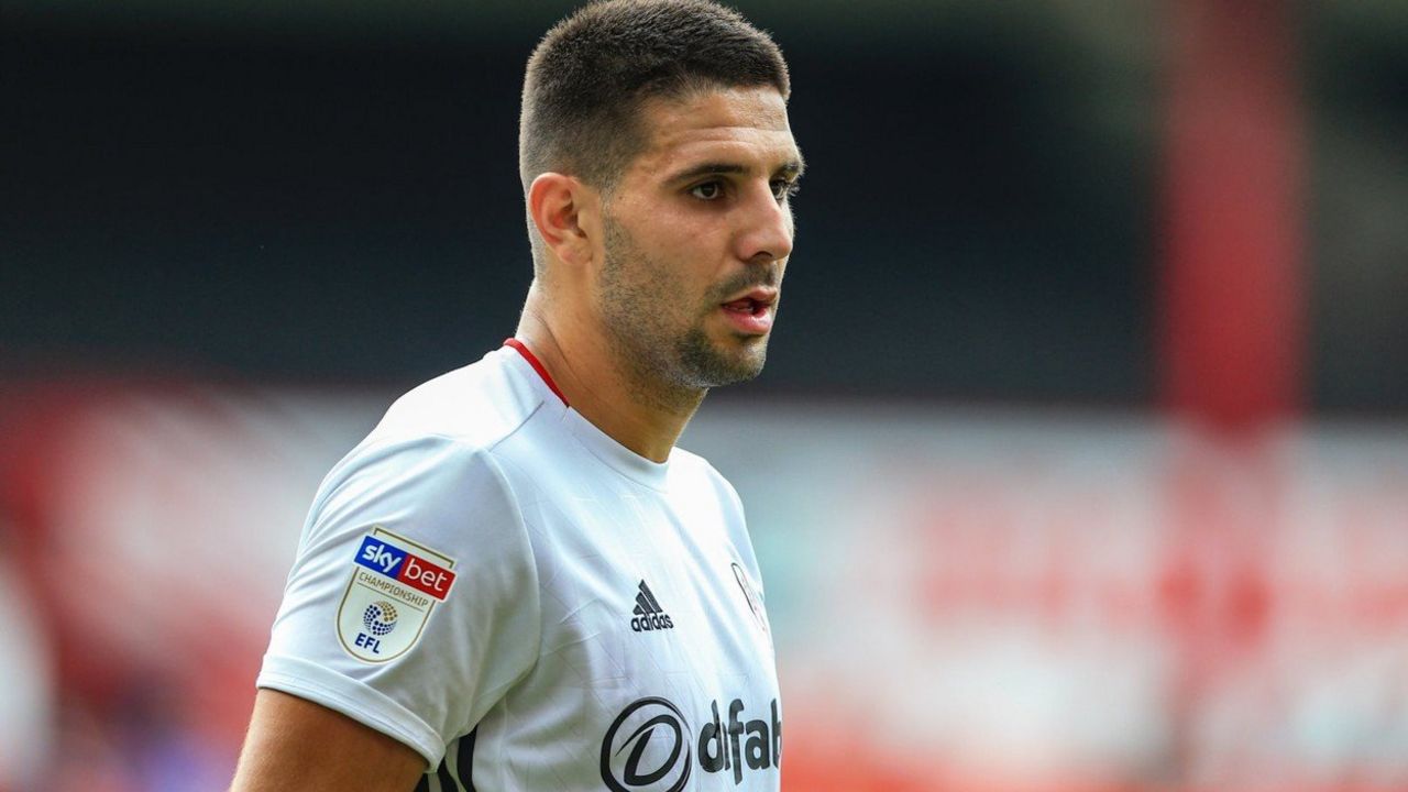 Aleksandar Mitrović